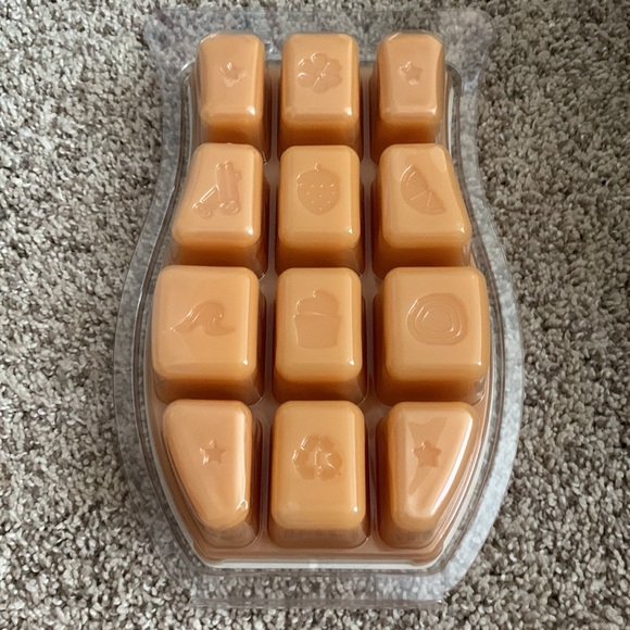 Scentsy Brick - Picture 2 of 2